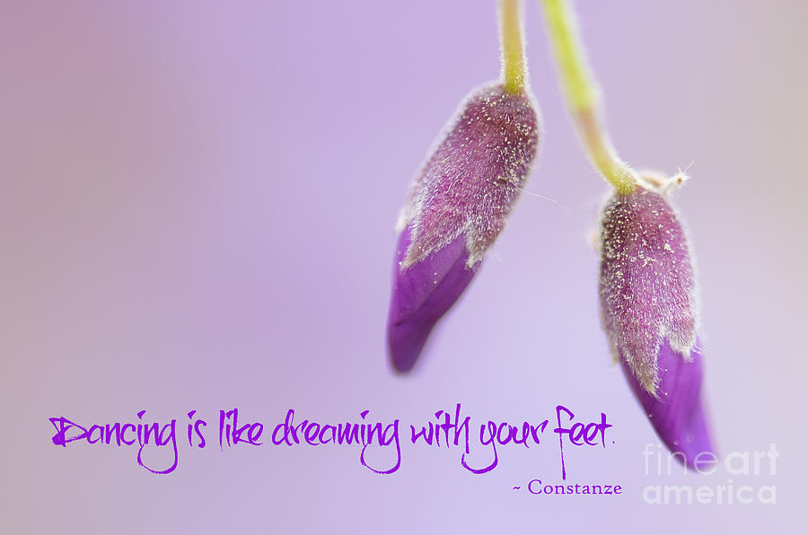 Wisteria Slippers Photograph by Engeline Tan - Fine Art America