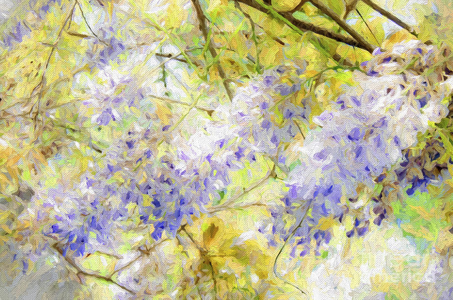 Wistful Wisteria 1 Photograph by Andee Design