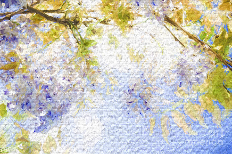 Wistful Wisteria 2 Photograph by Andee Design