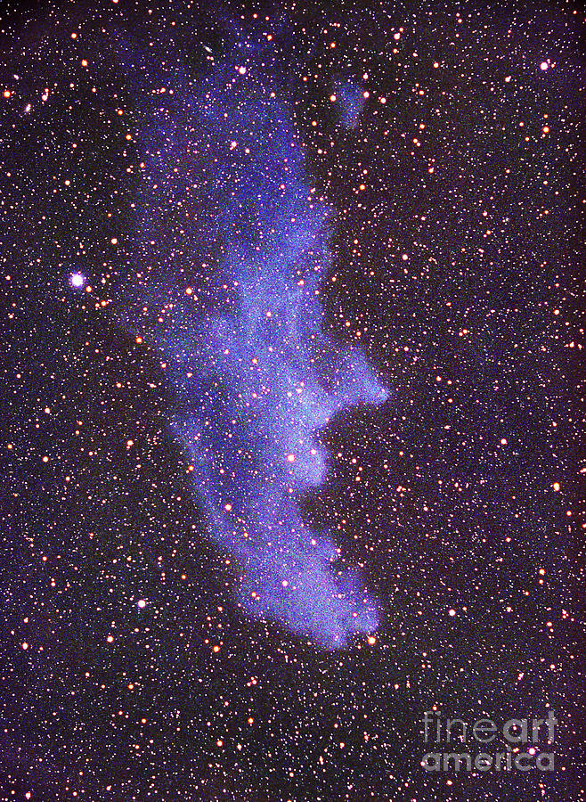 Witch Head Nebula Photograph by Chris Cook
