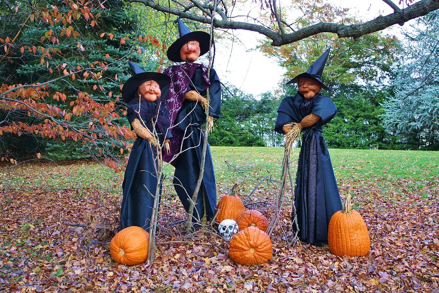 Witches Photograph by Paulette Thomas | Fine Art America