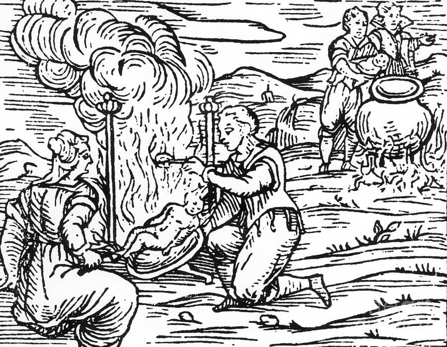 Witches roasting and boiling infants Drawing by Italian School