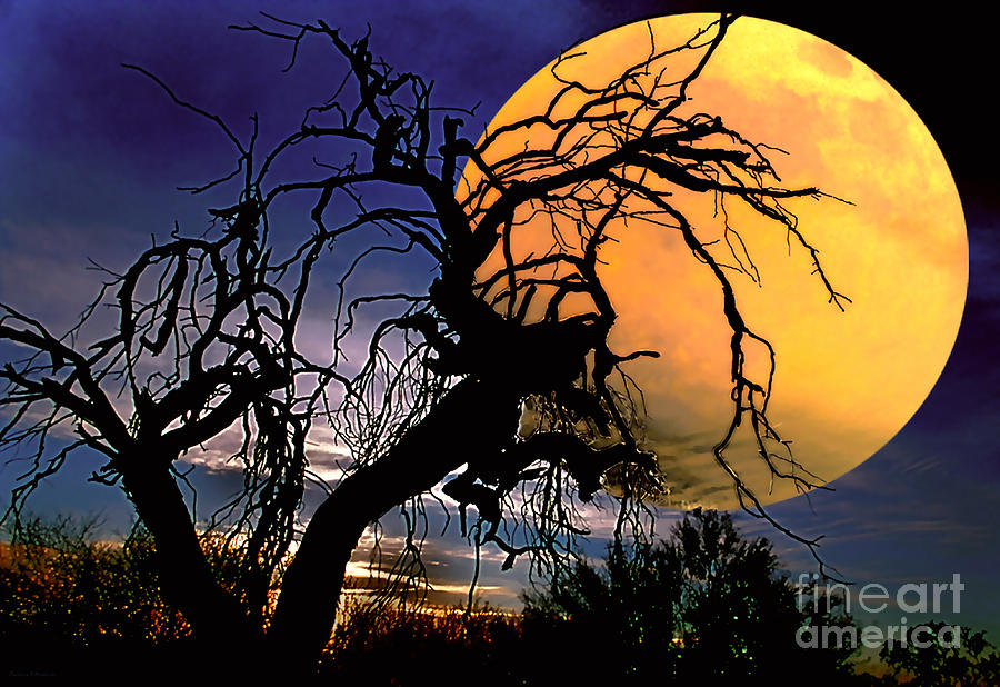 Halloween Photograph - Witching Hour by Barbara D Richards