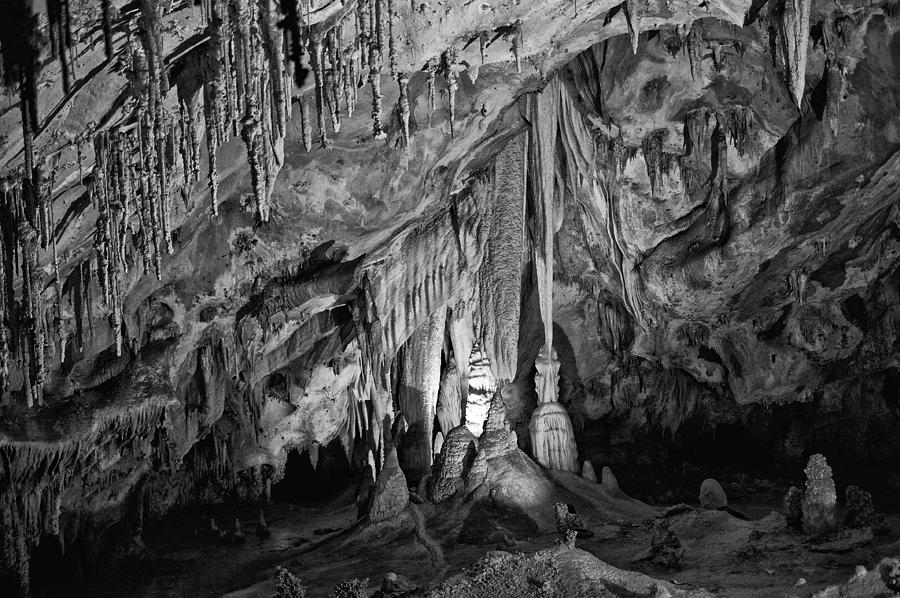 Witchs Broom Formation in Carlsbad Caverns Photograph by Melany Sarafis