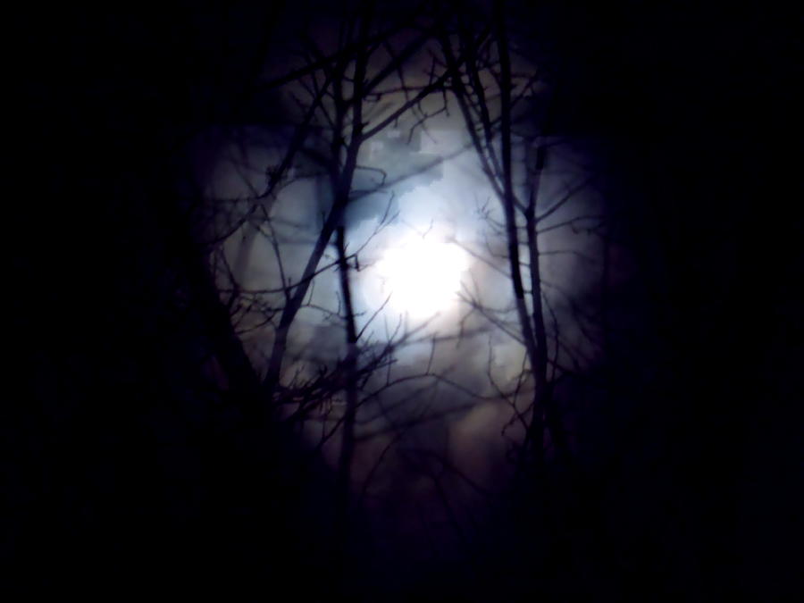 Witchs Moon Photograph by Wild Thing