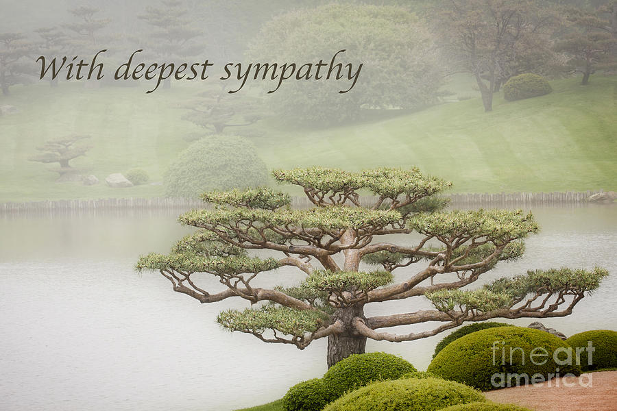 With Deepest Sympathy Photograph by Patty Colabuono