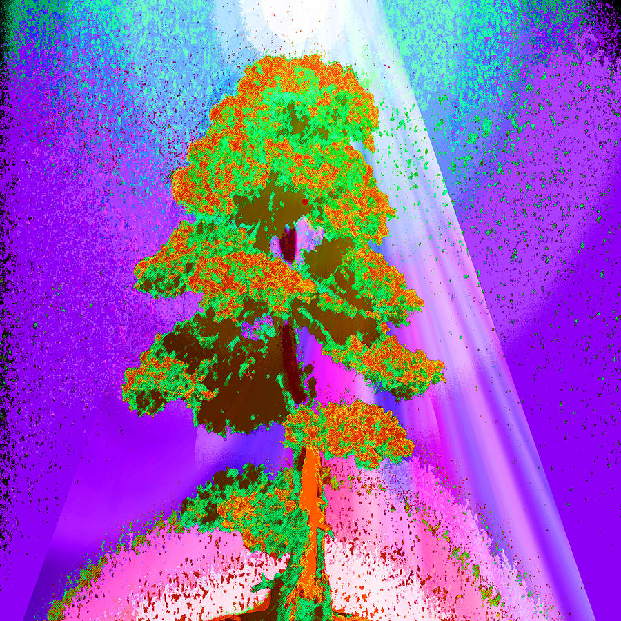 Sunlight Over a Tree Digital Art by Amelia Carrie
