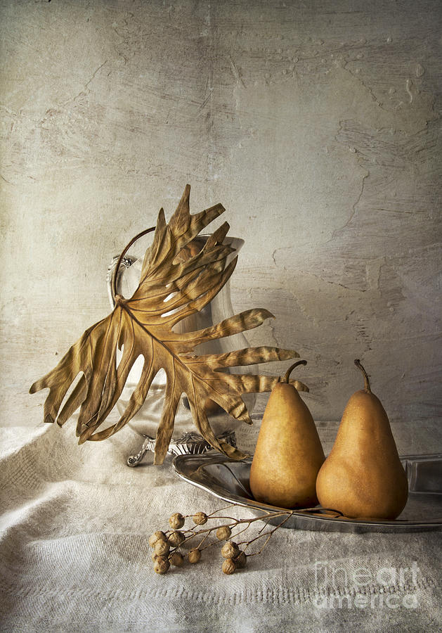 Still Life Photograph - With pears by Elena Nosyreva