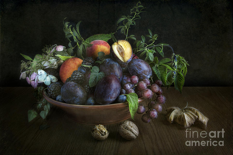 With plums Photograph by Elena Nosyreva