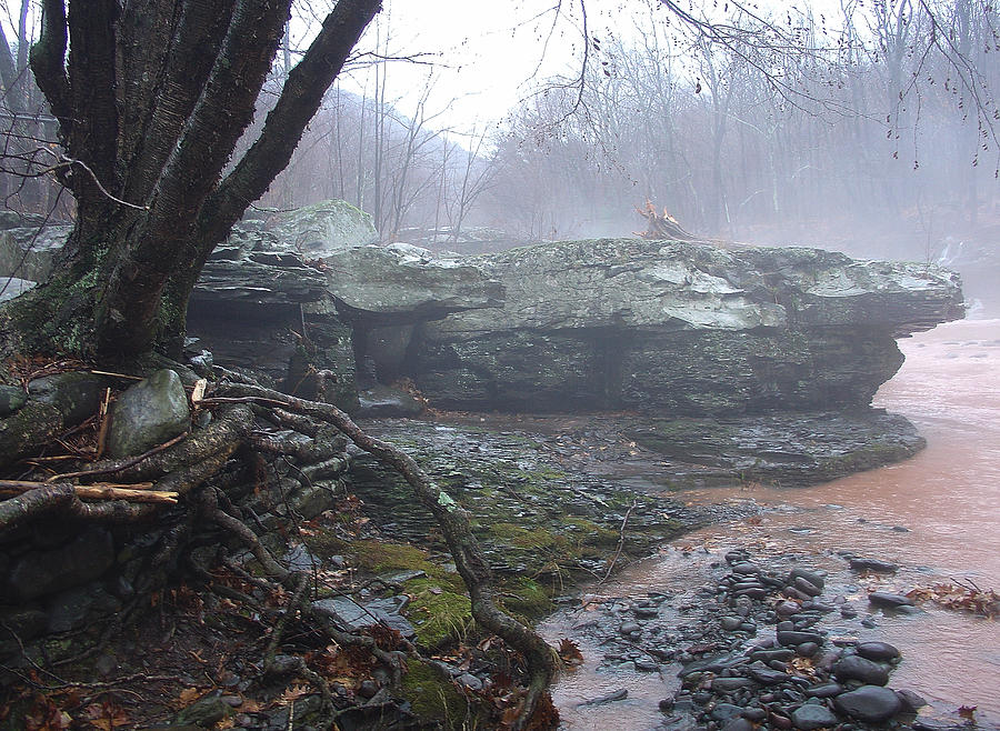 With the Kaaterskill Running Red a Seasonal Fog Drifts in from the Clove in Palenville Photograph by Terrance DePietro