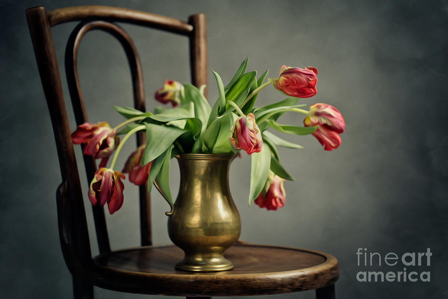 Withered Tulips Photograph
