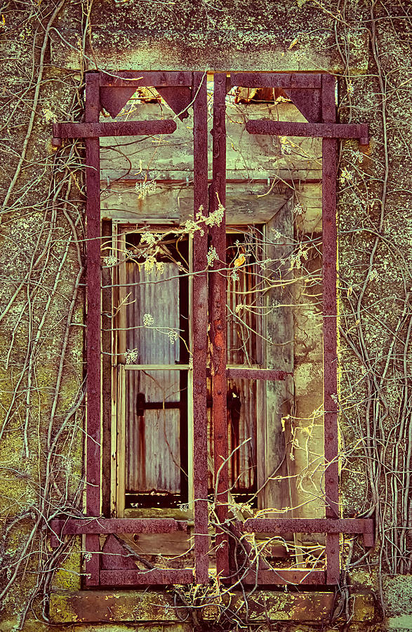 Withering Window Photograph by Gary Slawsky