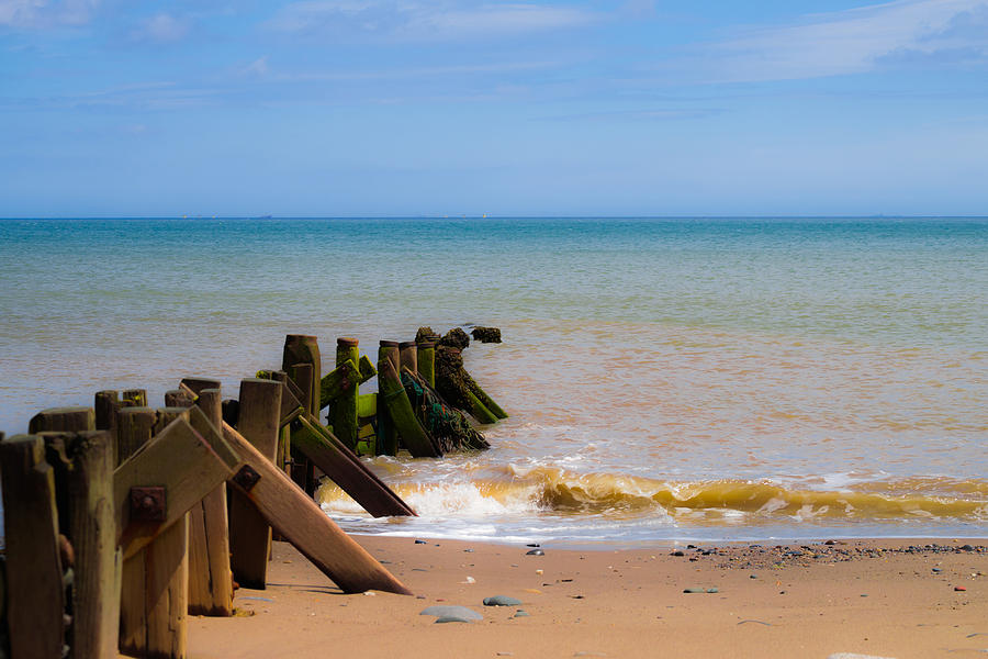 Withernsea Groynes Photograph by Scott Lyons