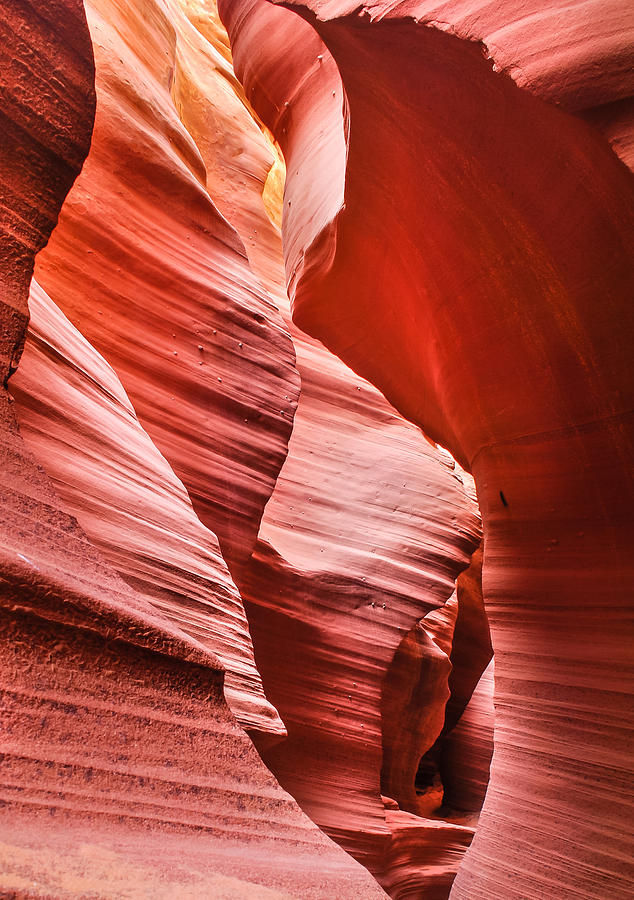 Antelope Canyon Photograph - Within The Canyon Walls by Gregory Ballos