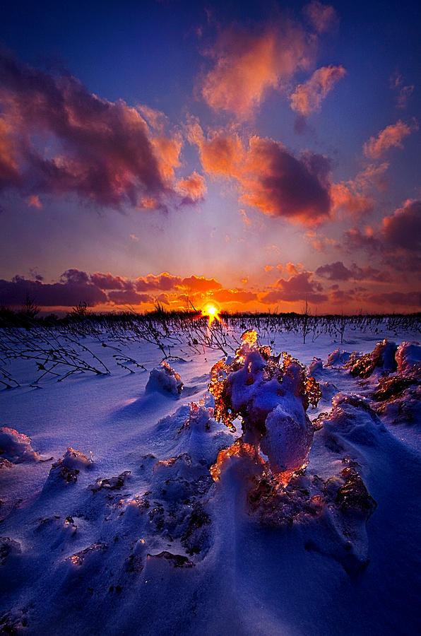 Winter Photograph - Within The Quietest Moment by Phil Koch