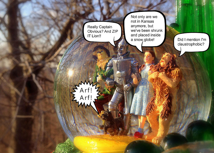 Wizard Of Oz Humor Photograph by Aurelio Zucco