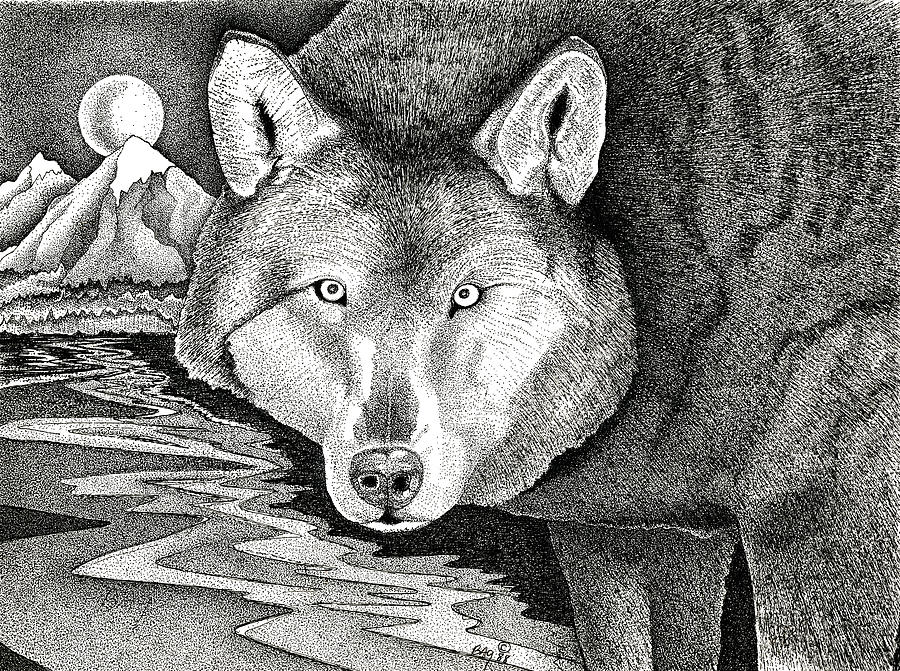 Wolf 01 Drawing by Brian Gilna