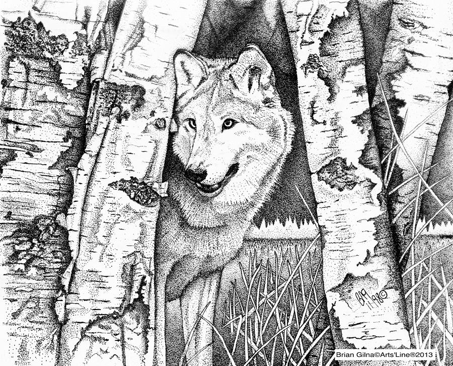 Wolf 02 Drawing by Brian Gilna