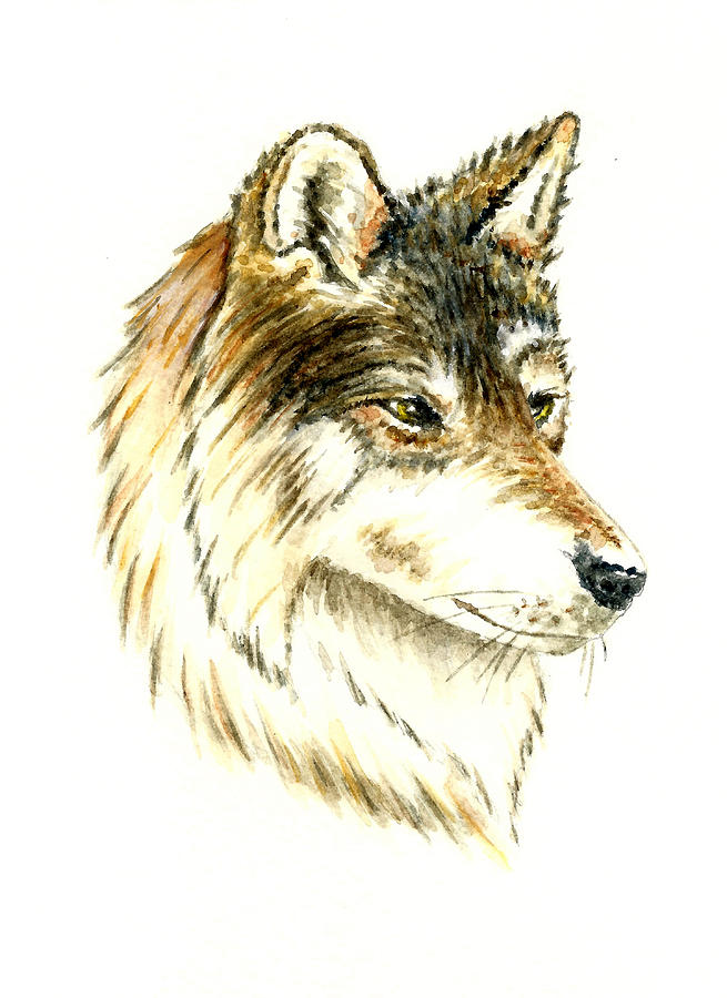 Wolf #2 Painting
