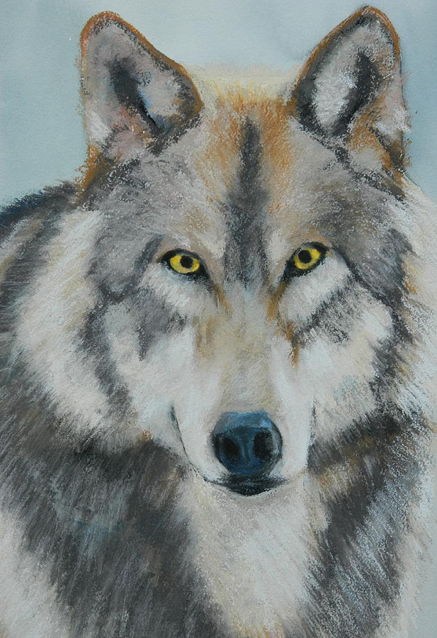 Wolf 3 Painting by Ron Imbriglio - Fine Art America