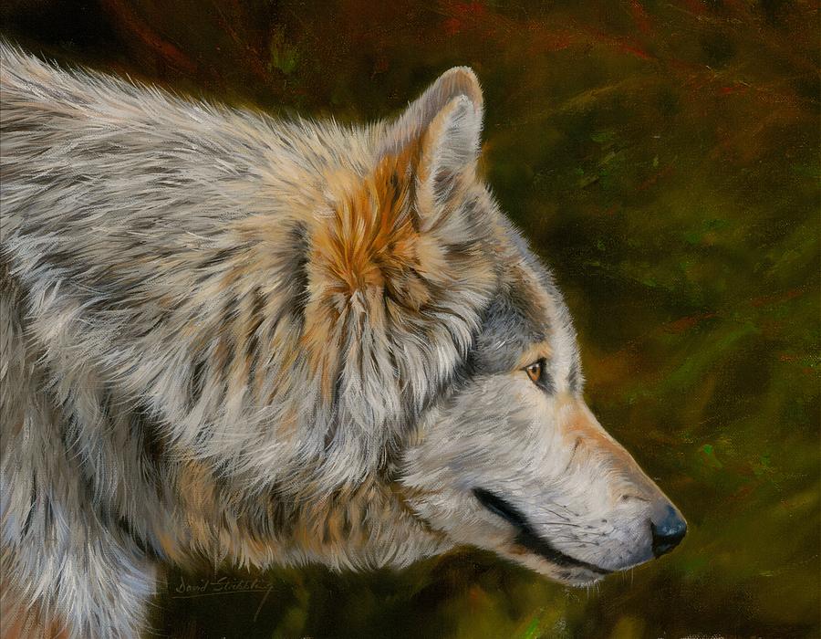Wolves Painting - Wolf 4 by David Stribbling