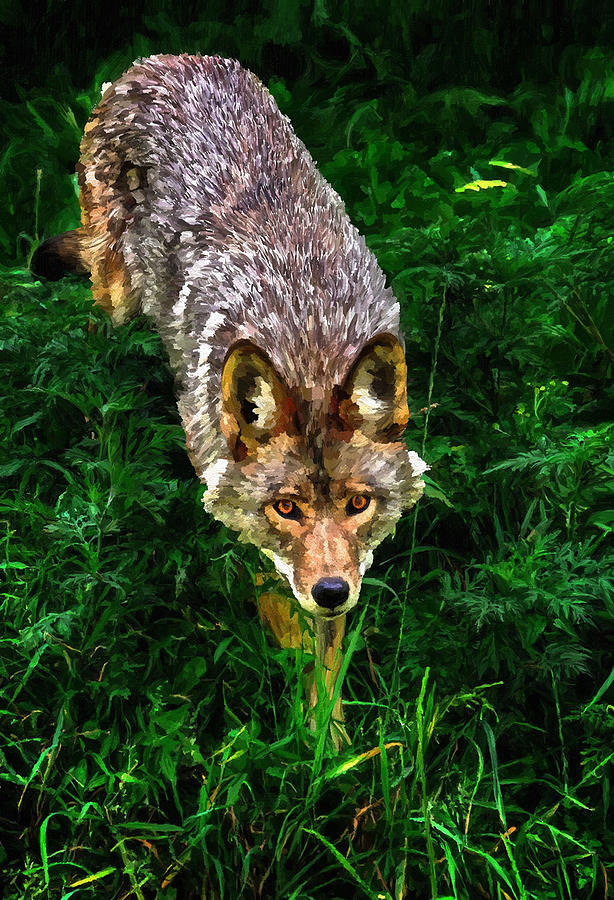Wolf art Digital Art by Prince Andre Faubert