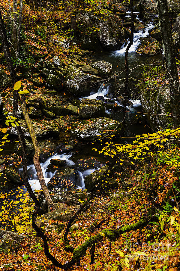 Fall Photograph - Wolf Creek Cascade by Thomas R Fletcher