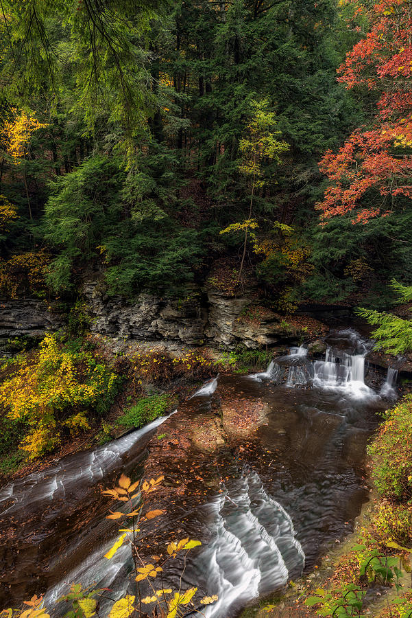 Waterfall Photograph - Wolf Creek Falls by Mark Papke