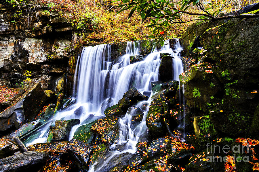 Wolf Creek Falls Photograph by Thomas R Fletcher