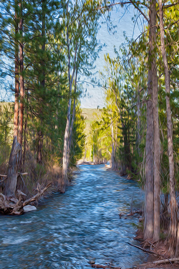 Wolf Creek Flowing Downstream  Painting by Omaste Witkowski