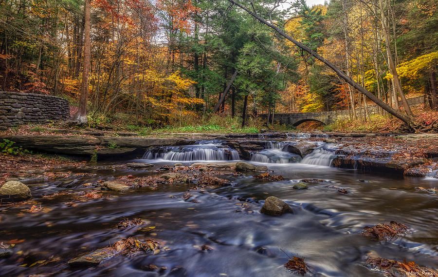 Wolf Creek by Mark Papke