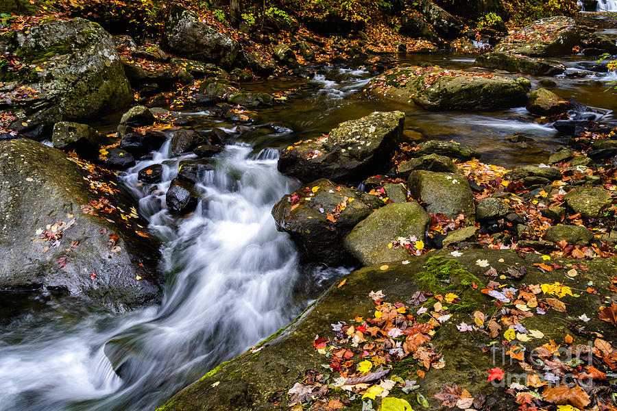 Fall Photograph - Wolf Creek New River Gorge by Thomas R Fletcher