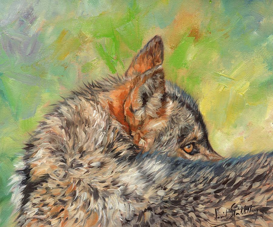 Wolves Painting - Wolf by David Stribbling