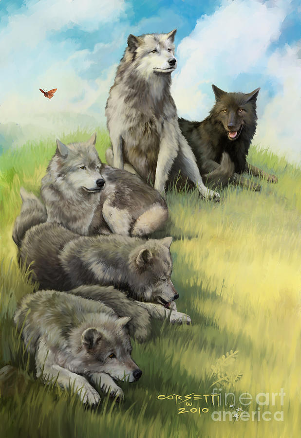 Wolf Gathering lazy Painting by Robert Corsetti