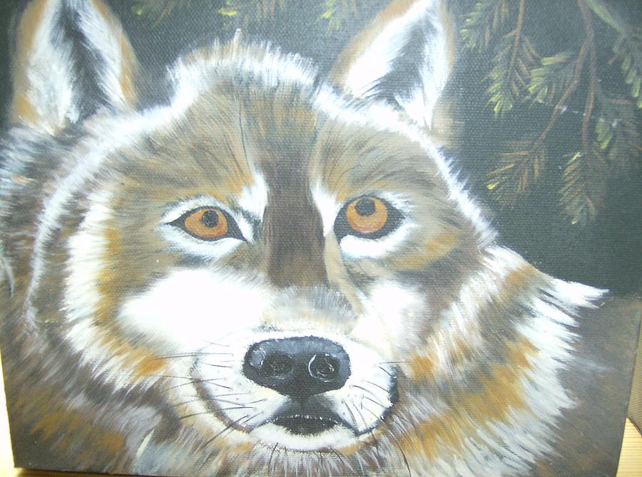 Wolf Gaze Painting by Debra Campbell