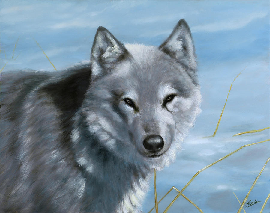 Wolf in the snow Painting by John Silver