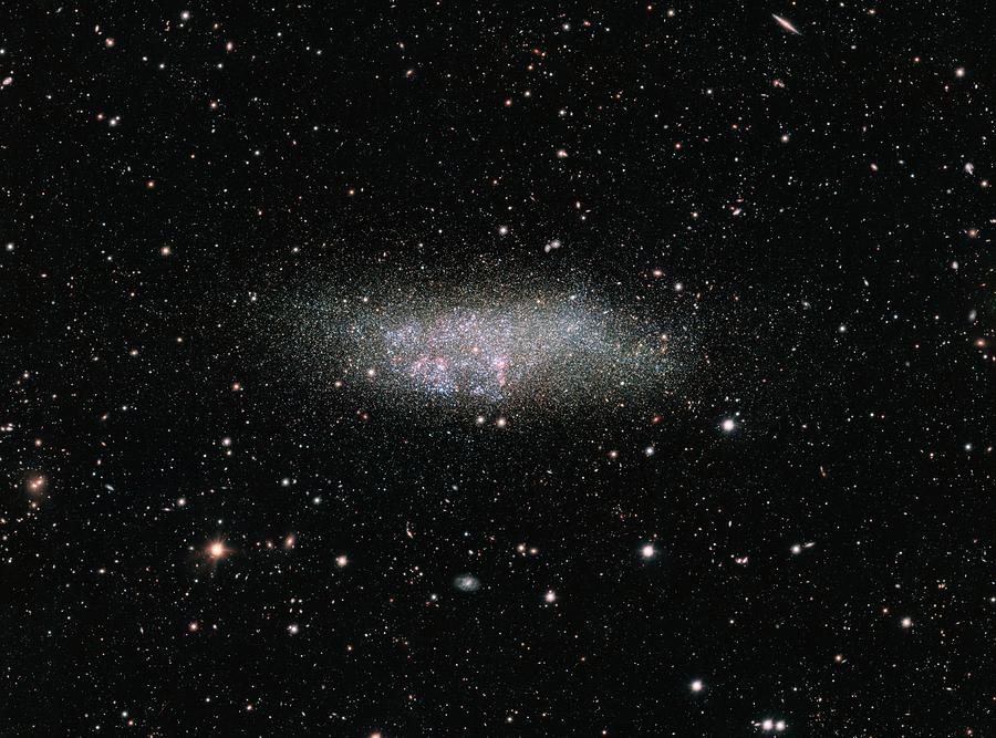 Wolf-lundmark-melotte Galaxy Photograph by Vst/omegacam Local Group Survey/european Southern Observatory/science Photo Library