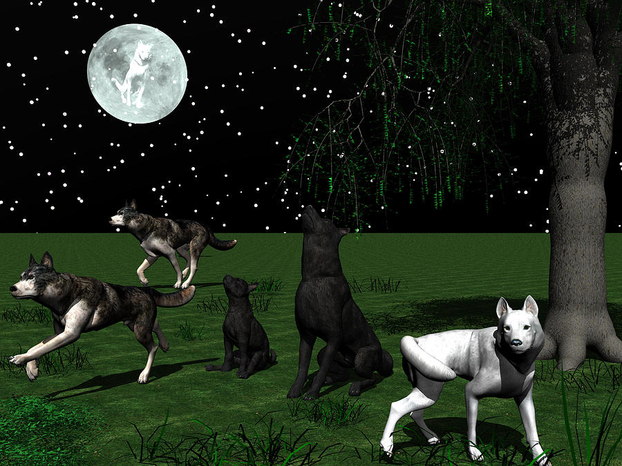 Wolf Moon Digital Art by Michele Wilson