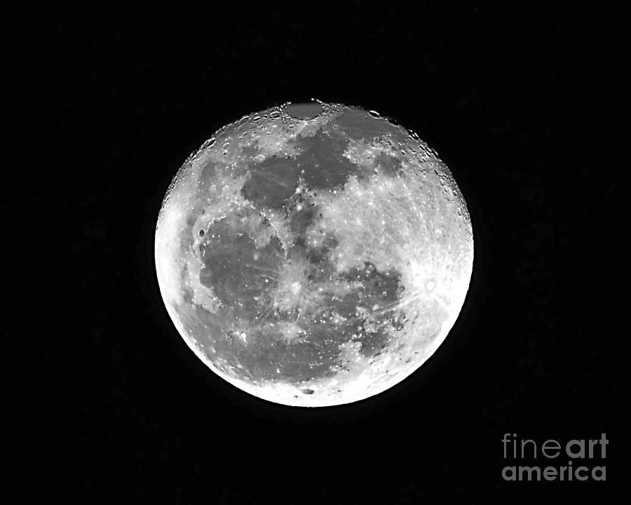 Moon Photograph - Wolf Moon Waning by Al Powell Photography USA