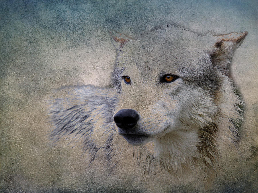 Wolf Paint Photograph by Steve McKinzie