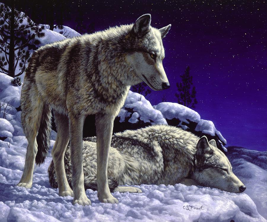 Wolf Painting - Wolf Painting - Night Watch by Crista Forest