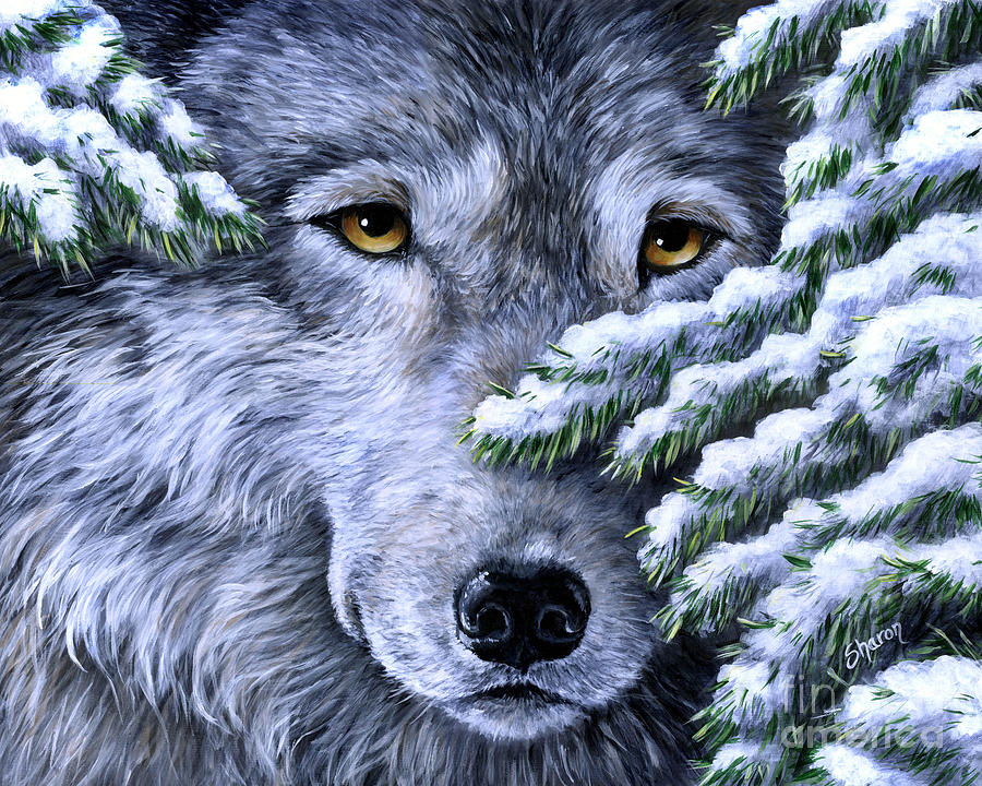Wolf - Peering Out Painting by Sharon Molinaro