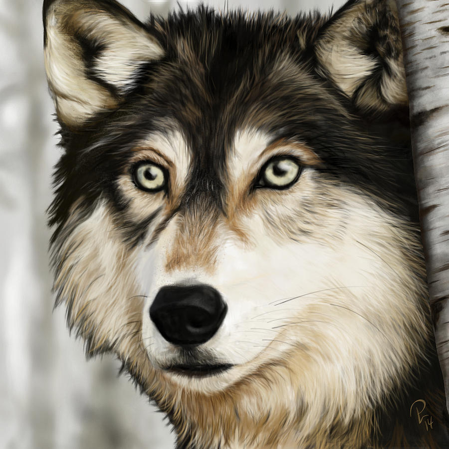Wolf Digital Art by Pia Langfeld - Fine Art America