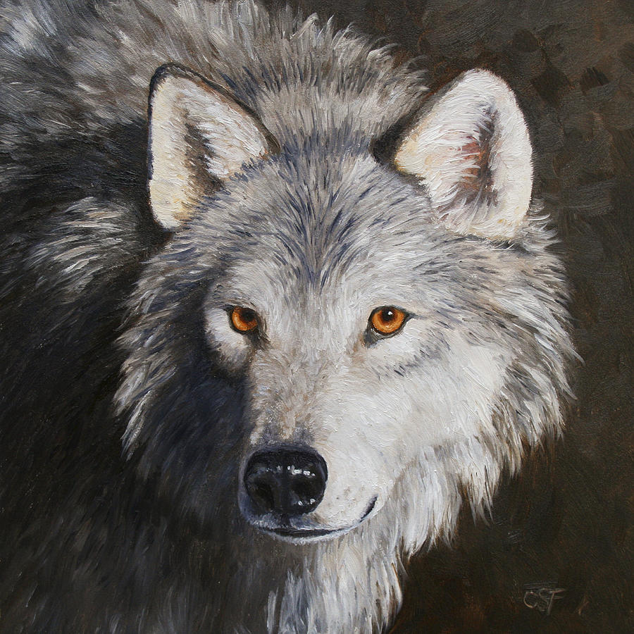 Wolves Painting - Wolf Portrait by Crista Forest