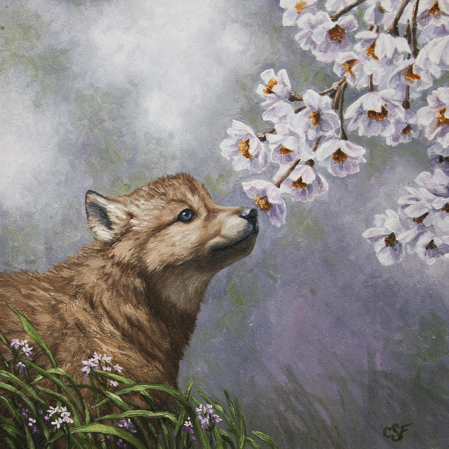 Wolves Painting - Wolf Pup - Baby Blossoms by Crista Forest