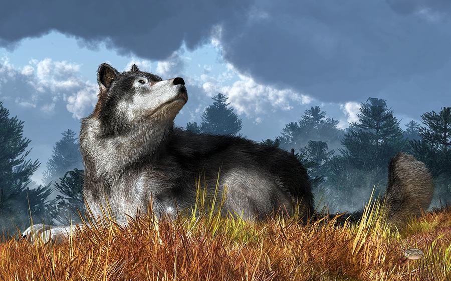 Wolves Digital Art - Wolf Resting in Grass by Daniel Eskridge