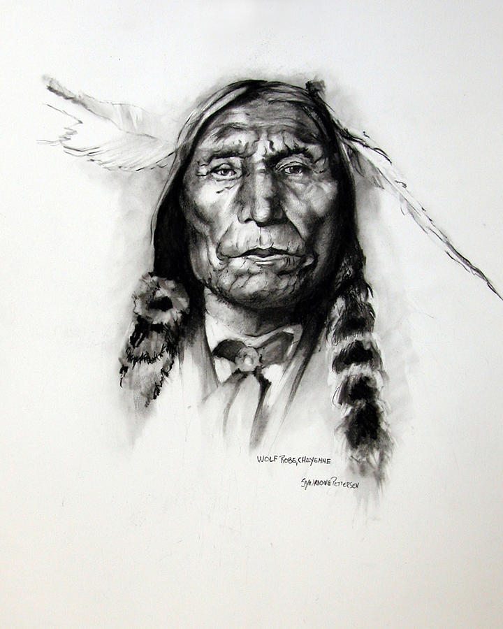 Wolf Robe - Cheyenne Drawing by Synnove Pettersen