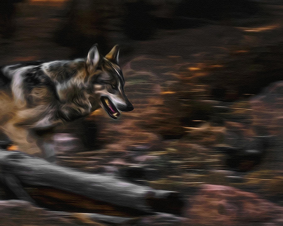 Wolf Run Digital Art Digital Art by Ernest Echols
