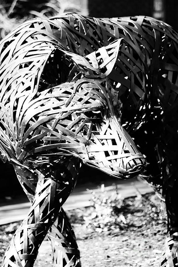 Black And White Photograph - Wolf Sculpture I by Robert Yaeger