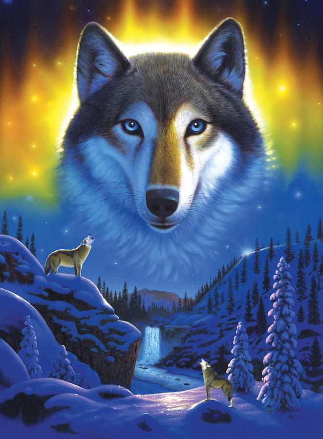Wolves Photograph - Wolf Snow Mountain by MGL Meiklejohn Graphics Licensing